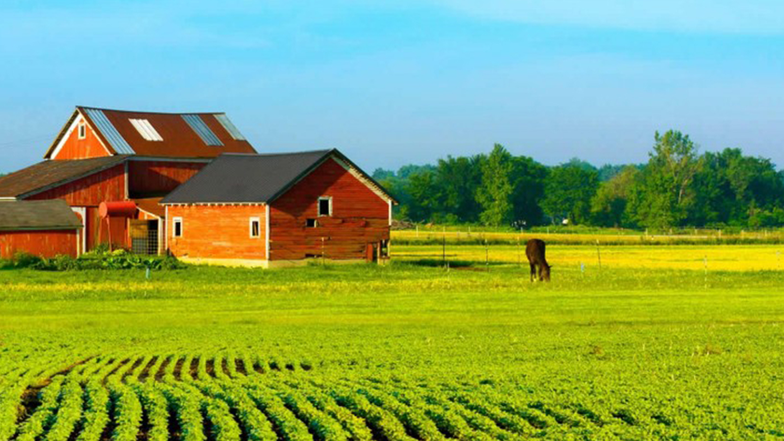 Senado: Georreferenciamento de imóveis rurais poderá ser 