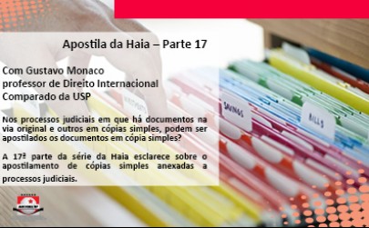 Apostila da Haia – Parte 17 - ANOREG/SP