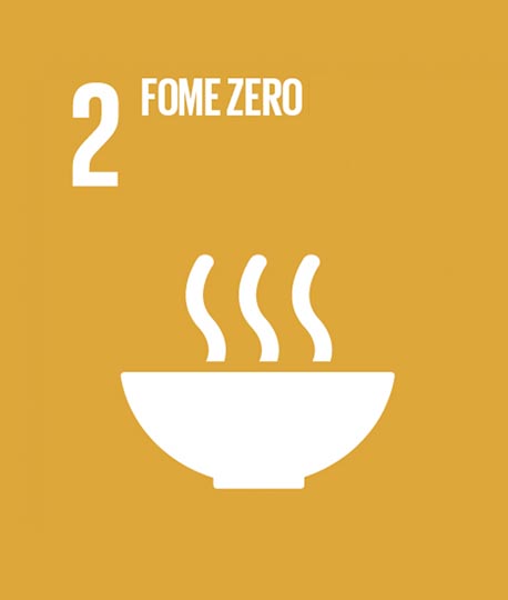 2 - Fome Zero