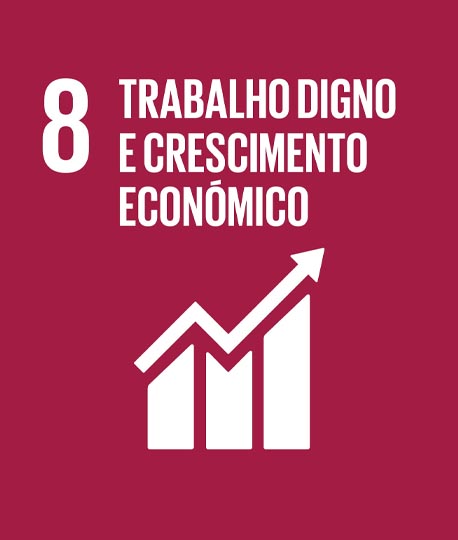 8 - Emprego Digno e Crescimento Econmico