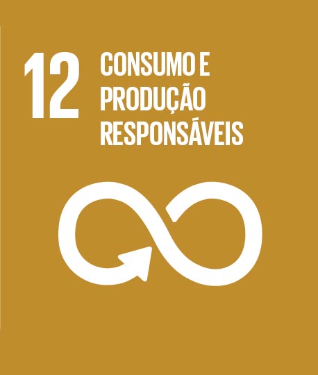 12 - Consumo e Produo Responsveis
