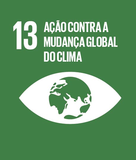 13 - Combate s Alteraes Climticas