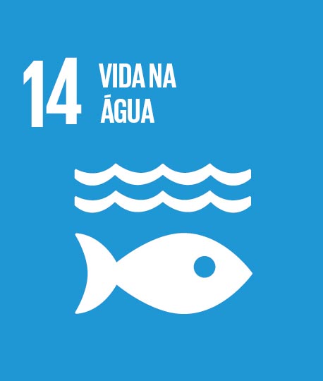 14 - Vida de Baixo Dgua