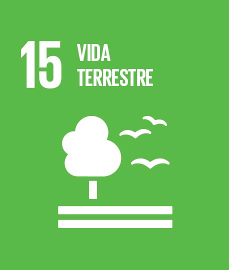 15 - Vida sobre a Terra