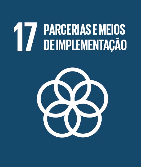 17 - Parcerias em Prol das Metas